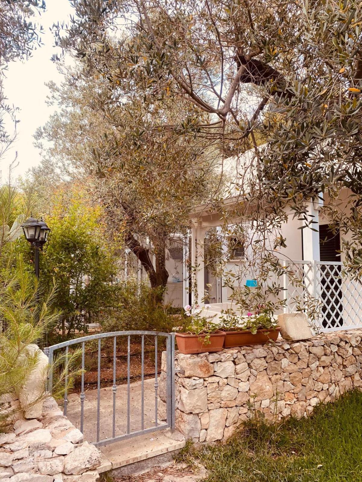 B&B Quasimare Porto Cesareo Kültér fotó